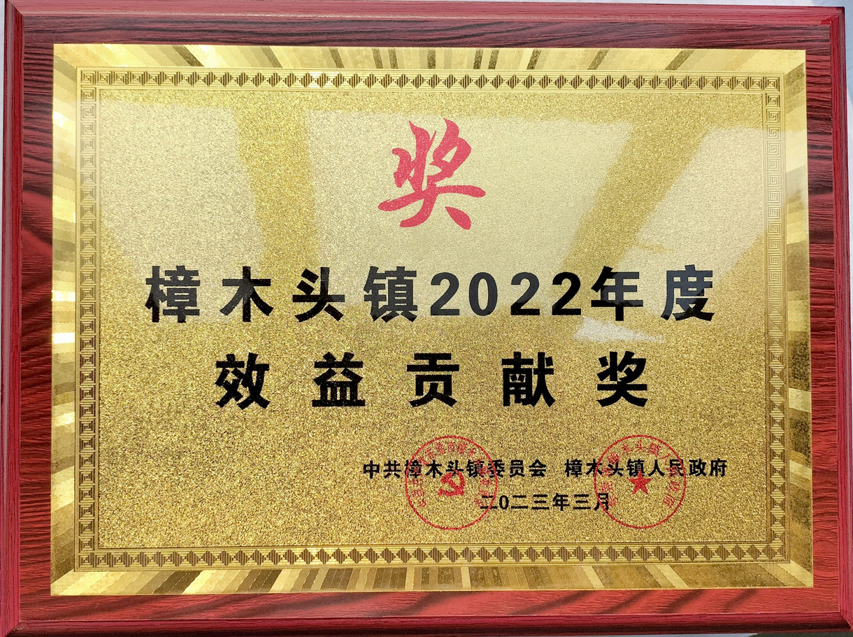 我司被評(píng)為“鎮(zhèn)2022年度先進(jìn)單位”